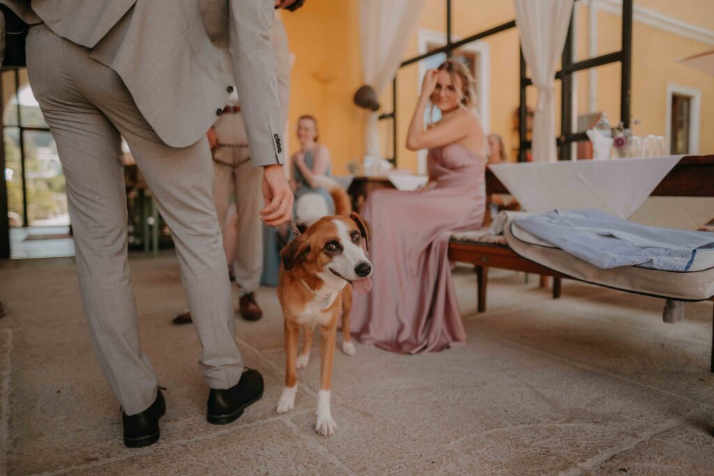 Hund bei der Hochzeitsfeier im Schloss Ottersbach – naturverbundene Hochzeit in der Steiermark