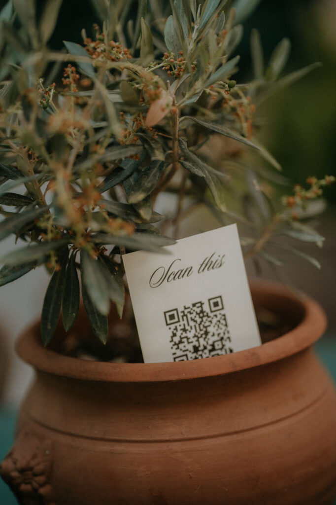 Olivenbaum in Terrakottatopf mit Scan-this-Karte – Hochzeit Aiola Graz
