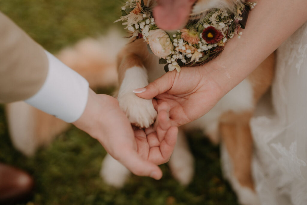 Braut hält Hundepfote mit Blumenkranz – Hochzeit mit Hund Aiola Graz
